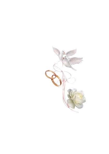 Desain_tanpa_judul__1_-removebg-preview